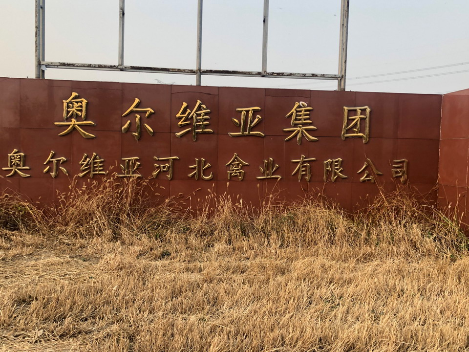 奥尔维亚禽业孵化基地 商用电热水锅炉