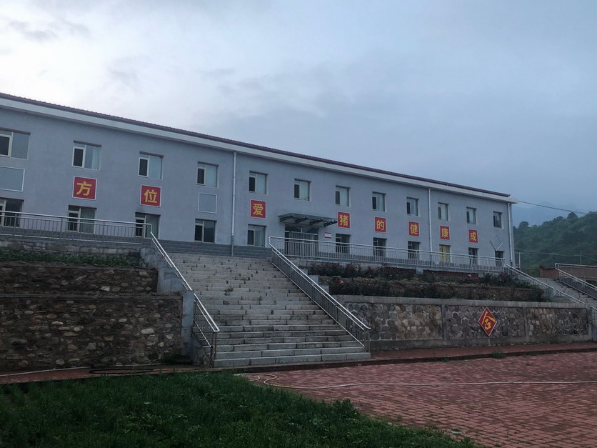 丰宁养猪场猪床供暖管改造